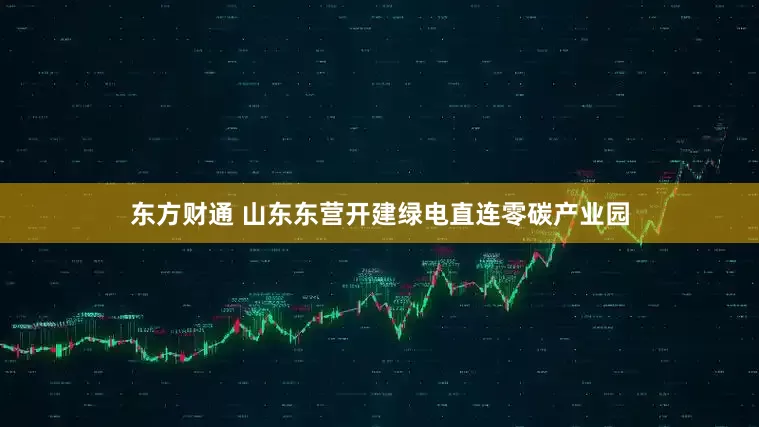 东方财通 山东东营开建绿电直连零碳产业园