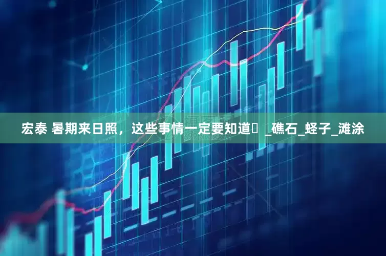 宏泰 暑期来日照，这些事情一定要知道️_礁石_蛏子_滩涂