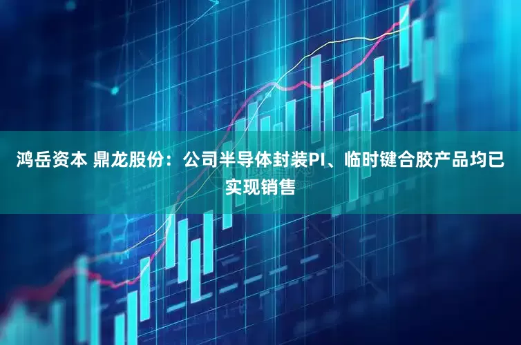 鸿岳资本 鼎龙股份：公司半导体封装PI、临时键合胶产品均已实现销售