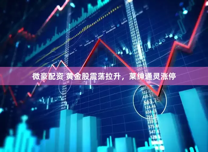 微豪配资 黄金股震荡拉升，莱绅通灵涨停