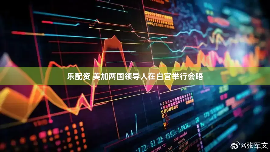 乐配资 美加两国领导人在白宫举行会晤