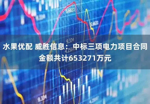 水果优配 威胜信息：中标三项电力项目合同金额共计653271万元